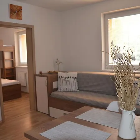 Apartman Loucna - Spicakovi Loucna nad Desnou Exterior photo